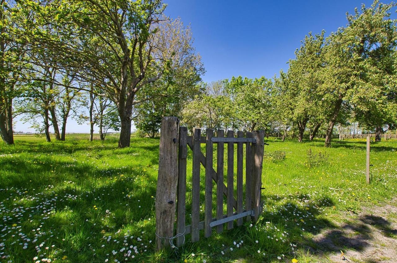 Fewo Auf Dem Lande / Nahe Spo Tumlauer Koog Exterior foto